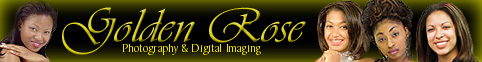 Golden Rose Banner